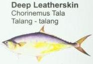 deep-leatherskin
