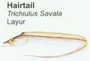 hairtail