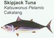 skipjack-tuna